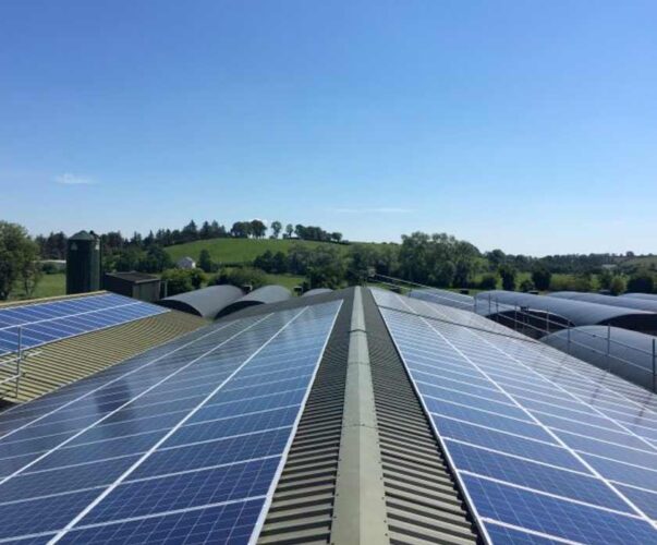 Commercial PV Panels on industrial sheds